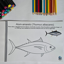 Dfish Goodies Peixes do Mar - Capa Dura