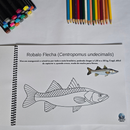 Dfish Goodies Peixes do Mar - Capa Dura