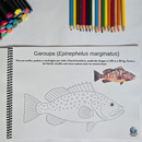 Dfish Goodies Peixes do Mar - Capa Dura