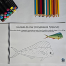Dfish Goodies Peixes do Mar - Capa Dura